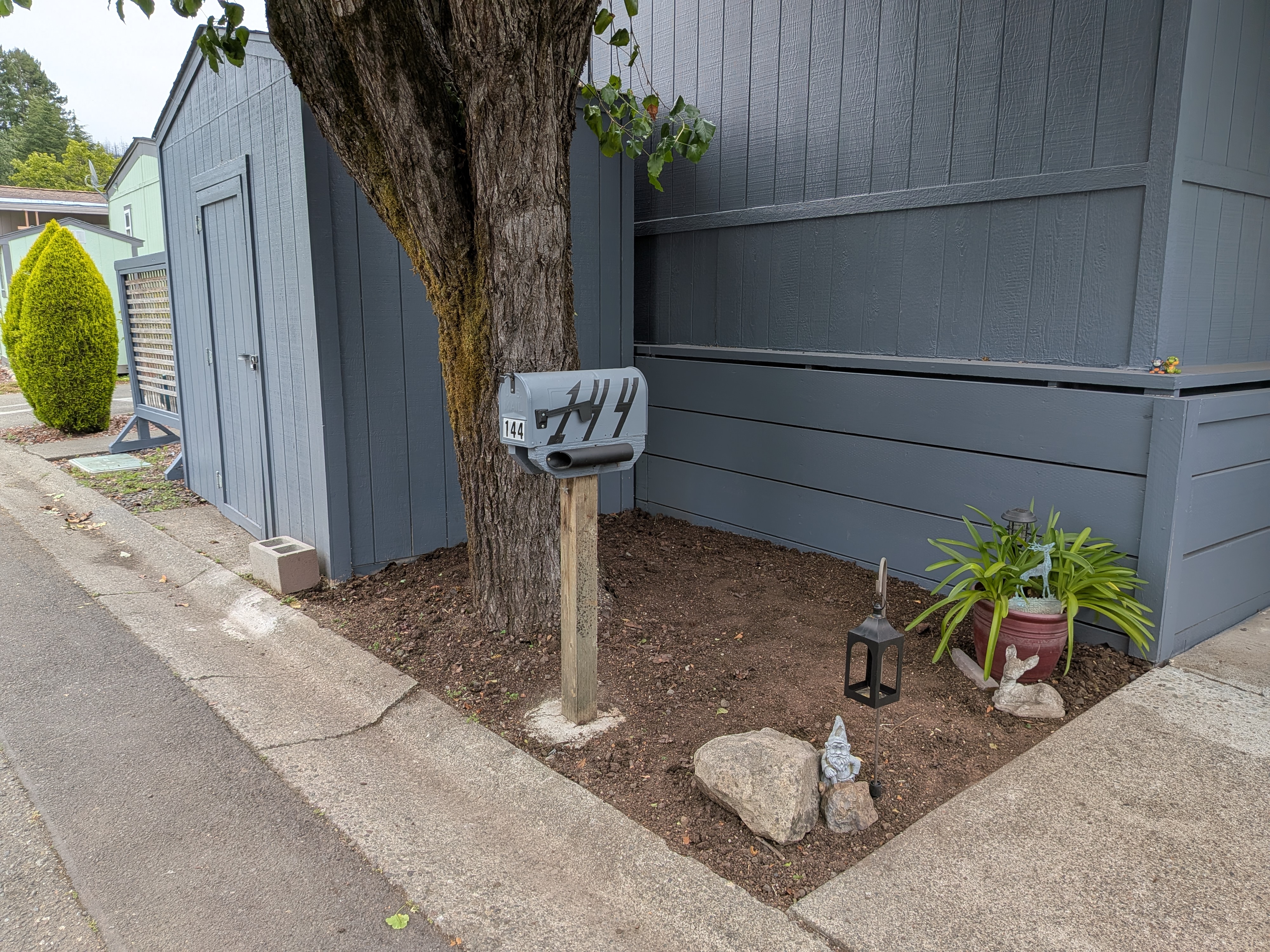 Small section landscaping - Progress image